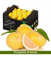 Pompelmi di Sicilia - 12kg